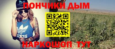 гидра Пенза