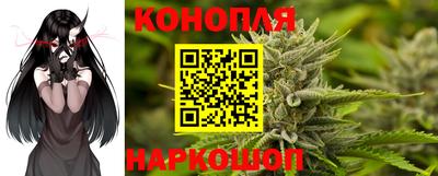 гидра Пенза