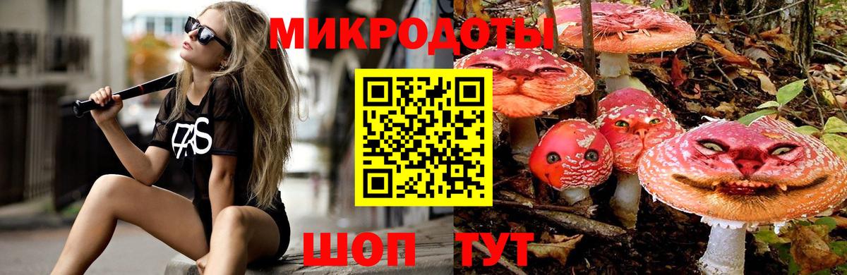 Псилоцибиновые грибы Psilocybine cubensis Тайшет